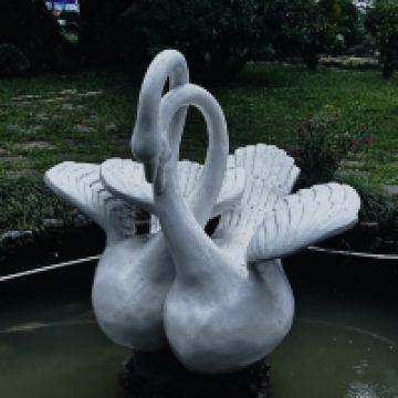 評論圖片 6