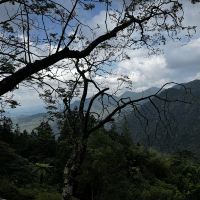評論圖片 4