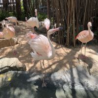 評論圖片 1