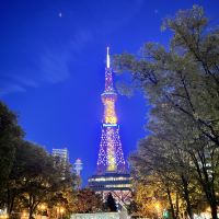 評論圖片 1