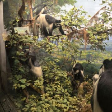 評論圖片 9