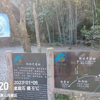 評論圖片 2