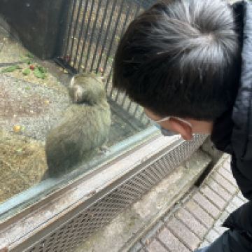 評論圖片 6