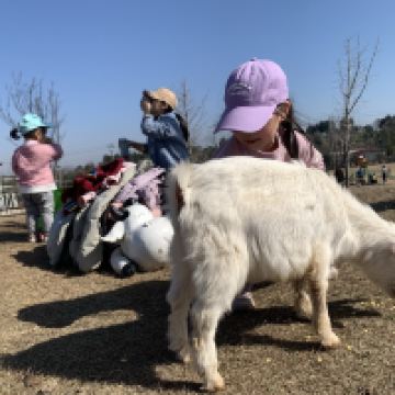 評論圖片 4