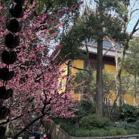 評論圖片 9