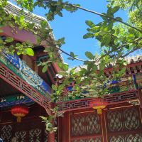 評論圖片 6