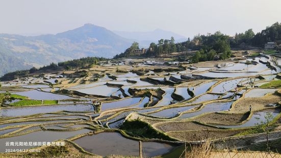 門票性價比不錯的，它包括了箐口梯田，老虎嘴梯田，壩達梯田，多