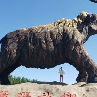 評論圖片 1