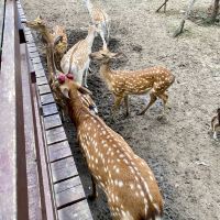 評論圖片 3