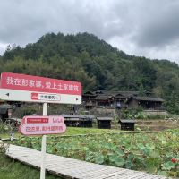 評論圖片 9