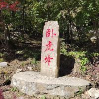 評論圖片 3