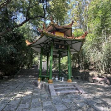 評論圖片 7