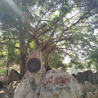 評論圖片 1