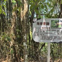 評論圖片 2