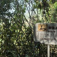 評論圖片 4