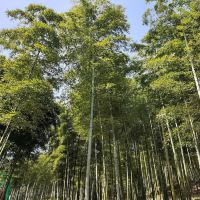 評論圖片 6