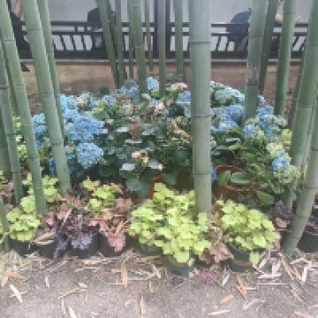 評論圖片 5