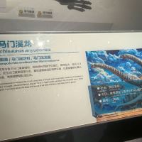評論圖片 6
