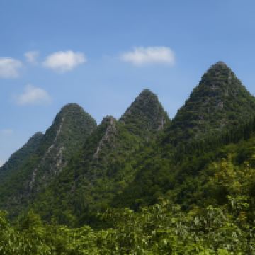 評論圖片 5