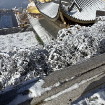 評論圖片 8