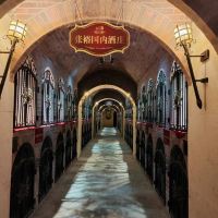 評論圖片 2