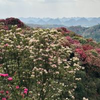 評論圖片 9