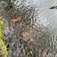 評論圖片 5