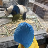 評論圖片 5