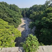 評論圖片 8