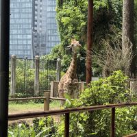 評論圖片 8