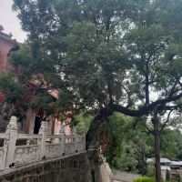 評論圖片 4