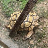 評論圖片 7