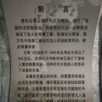 評論圖片 5