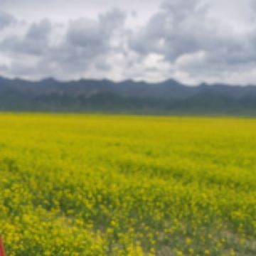 評論圖片 1