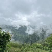 評論圖片 8