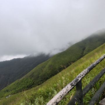 評論圖片 2