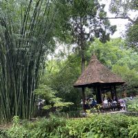 評論圖片 3