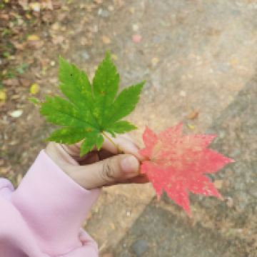 評論圖片 3