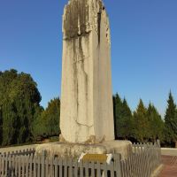 評論圖片 5