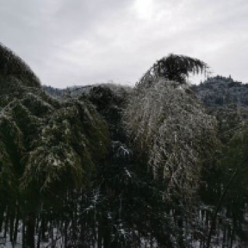 評論圖片 7