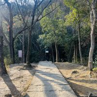 評論圖片 3