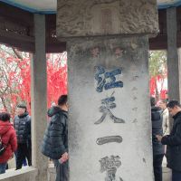 評論圖片 7