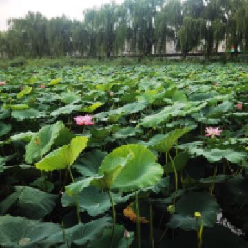 評論圖片 7
