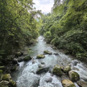 評論圖片 2