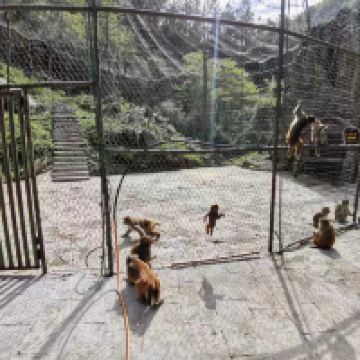 評論圖片 4