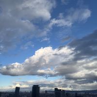 評論圖片 4