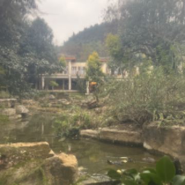 評論圖片 4
