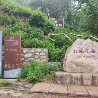 評論圖片 9