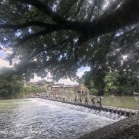 評論圖片 3