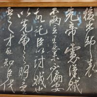 評論圖片 1